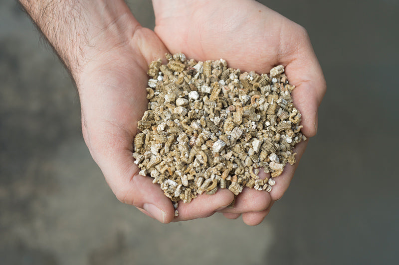 Vermiculita, gruesa, pequeña