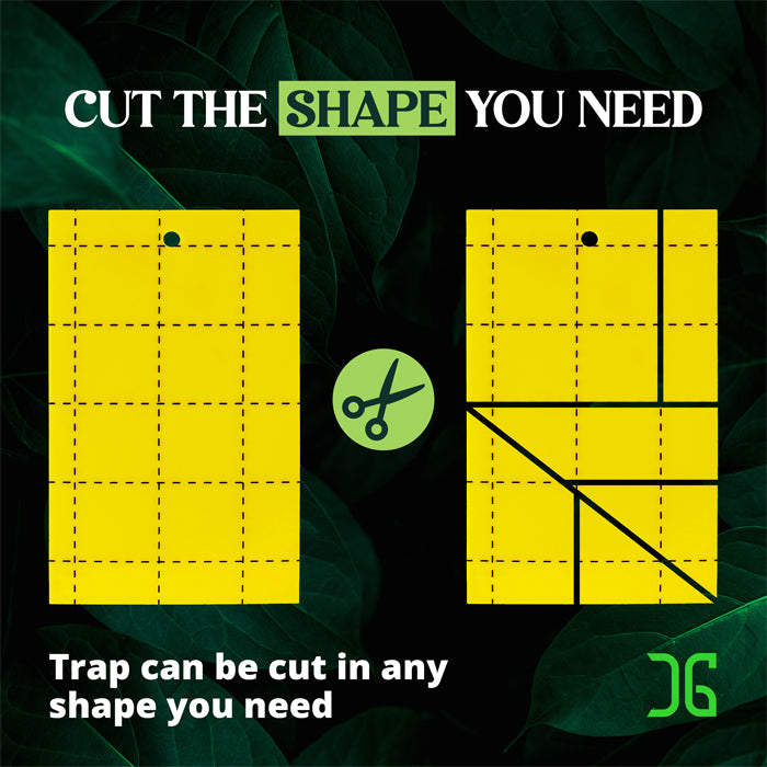 Catchmaster 3" x 5" Double-Sided Yellow Sticky Card Insect Traps