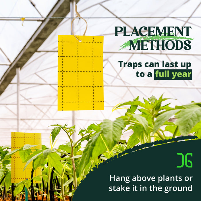 Catchmaster 3" x 5" Double-Sided Yellow Sticky Card Insect Traps