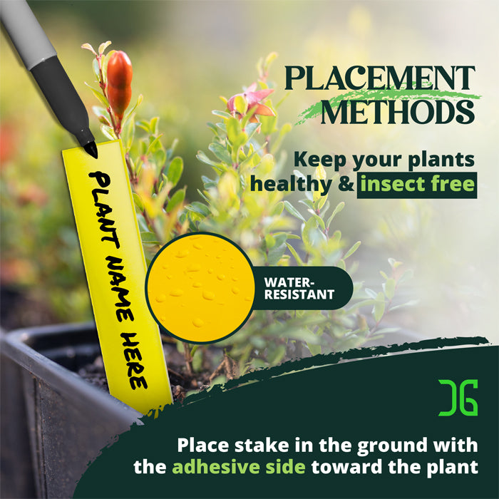 Catchmaster Dual Action Plant Stakes
