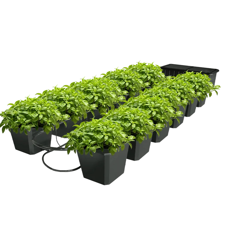 SUPER CLOSET 12-Site Bubble Flow - Hydroponic Bucket System
