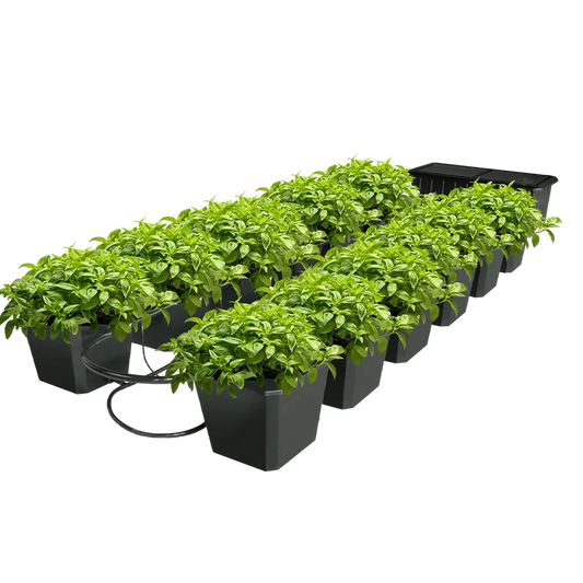 SUPER CLOSET 12-Site Bubble Flow - Hydroponic Bucket System