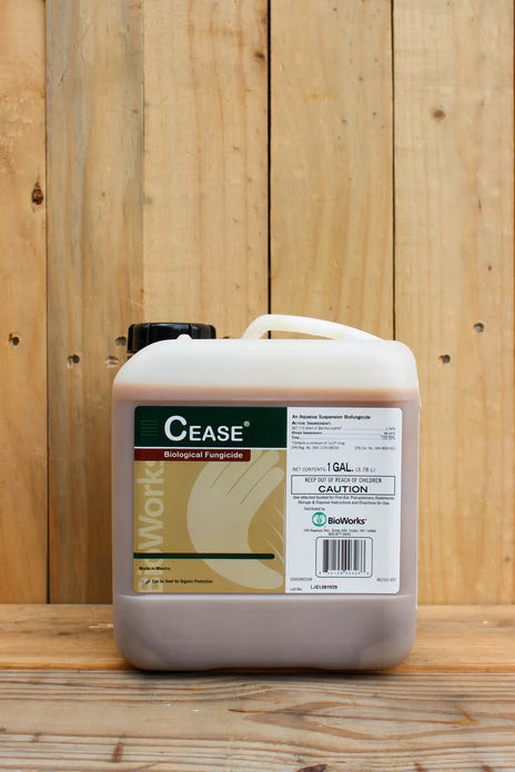 Cease Biofungicide - 1 Gallon