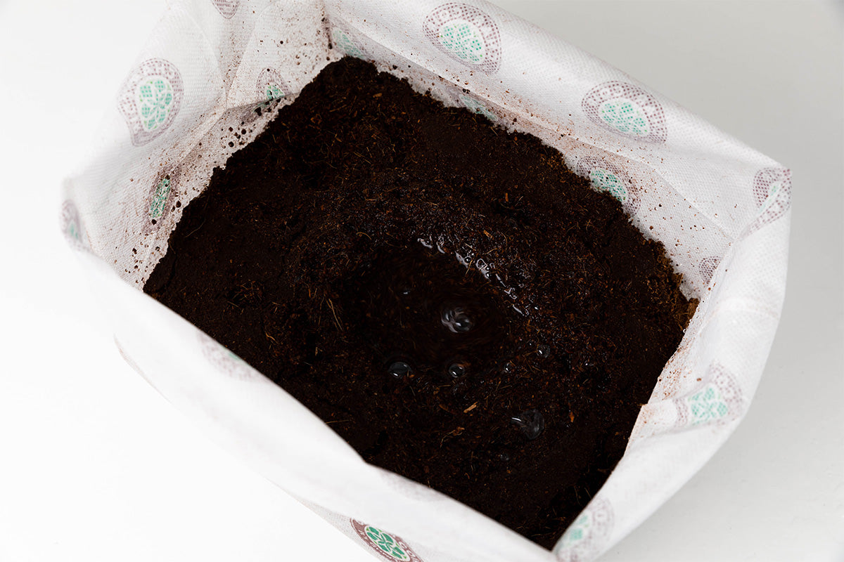 Char Coir Bio-Pot 8L Caja Negra