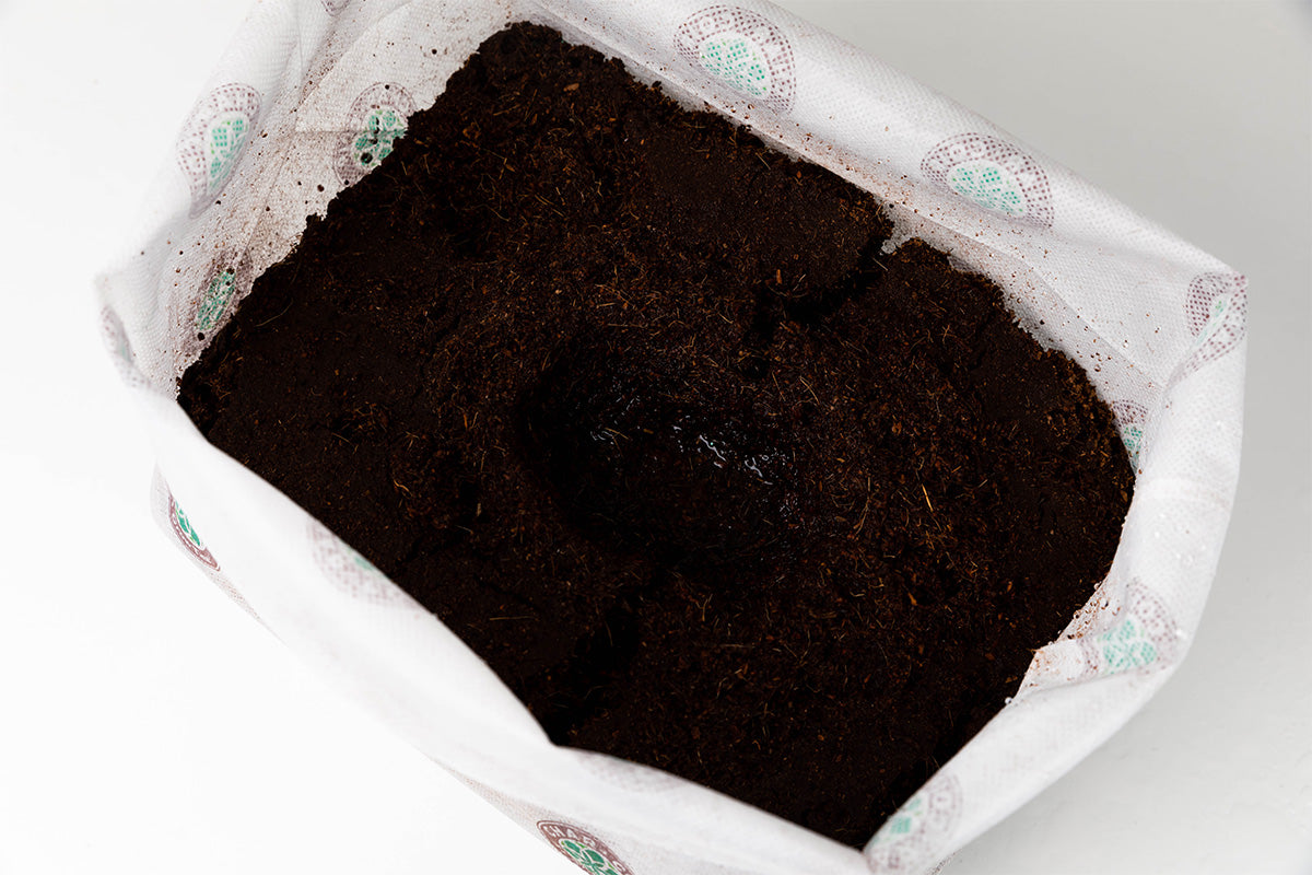 Char Coir Bio-Pot 8L