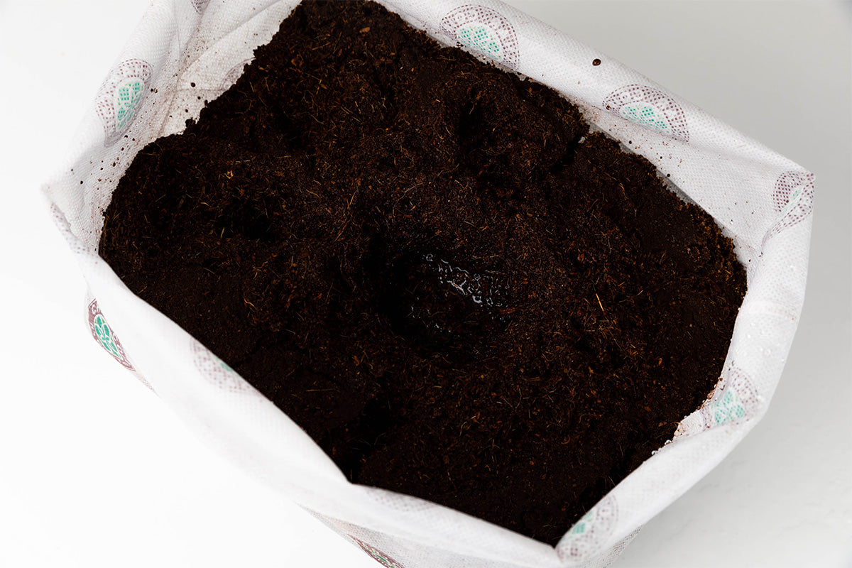 Char Coir Bio-Pot 8L