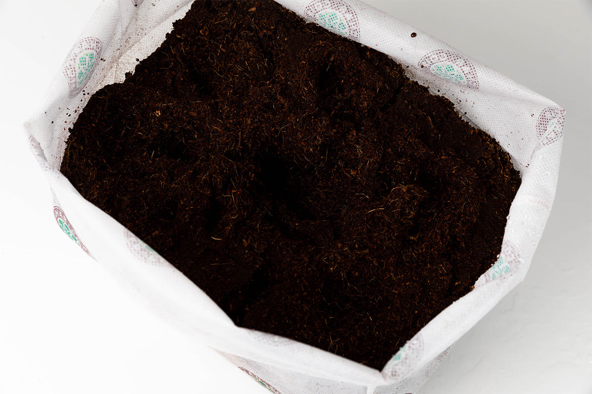 Char Coir Bio-Pot 8L