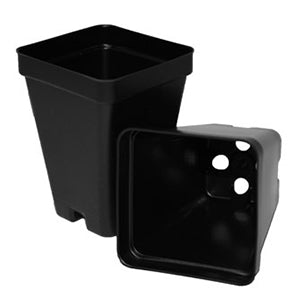 Square Pot (SVD) - 2.5", Black