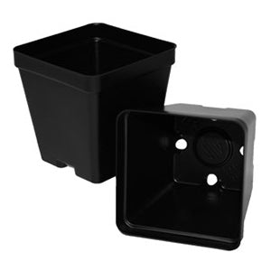 3.5" Square Black Pot
