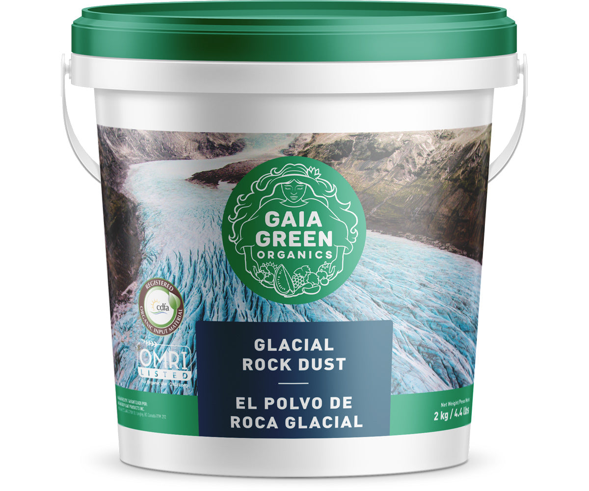 Polvo de roca glacial verde Gaia