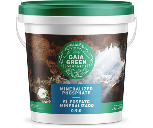 Fosfato mineralizado verde Gaia