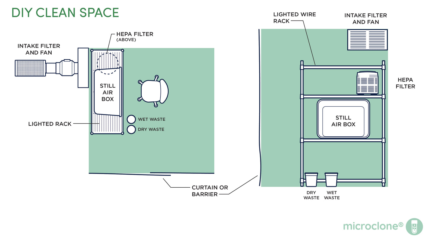 Kit de medios de enraizamiento de microclones (kit de raíz)