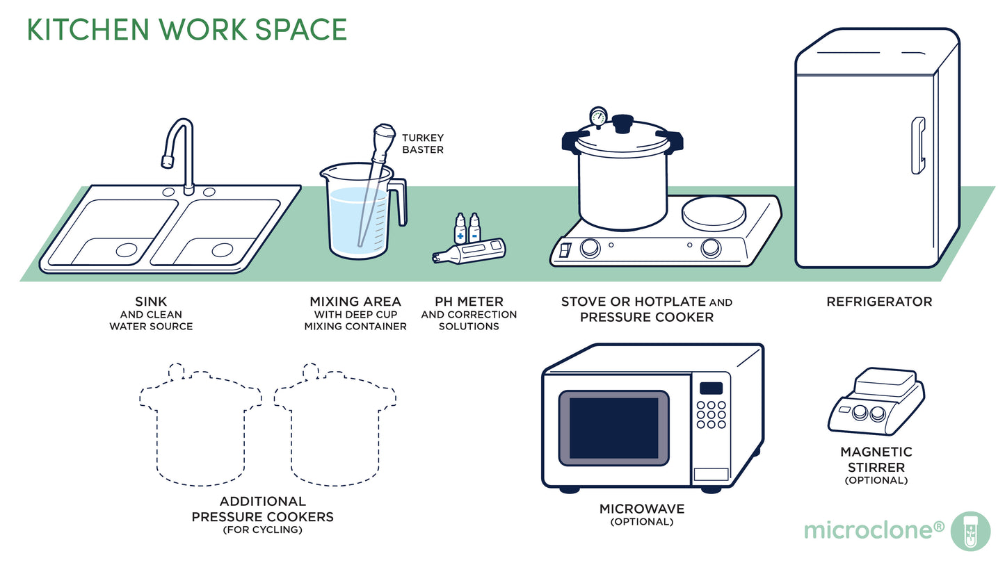 Kit de medios de enraizamiento de microclones (kit de raíz)