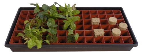 Grodan Gro-Smart Tray, 78-Cell