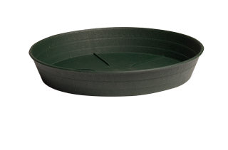 Green Premium Saucer