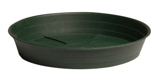 Green Premium Saucer