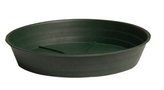 Green Premium Saucer