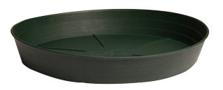 Green Premium Saucer