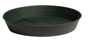 Green Premium Saucer