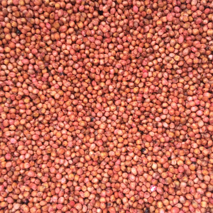 Sorghum Sudangrass Hybrid 50lbs