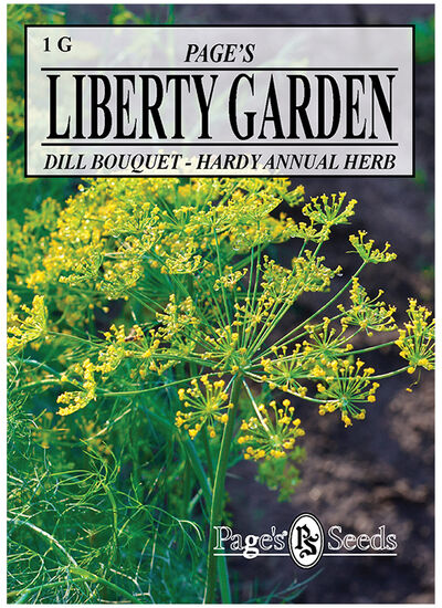 Dill, Bouquet Herb