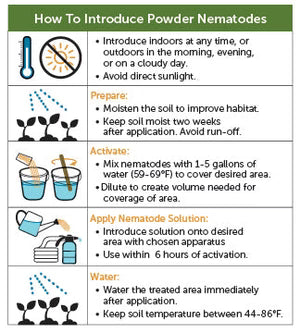 Fire Ant Exterminator - Sf Nematodes