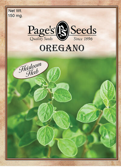 Oregano Herb