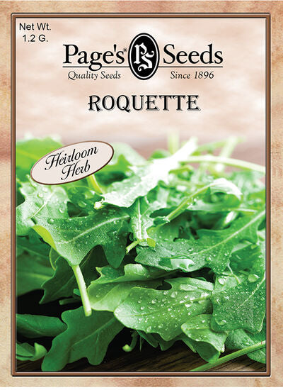Arugula - Garden Roquette