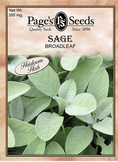 Sage Herb
