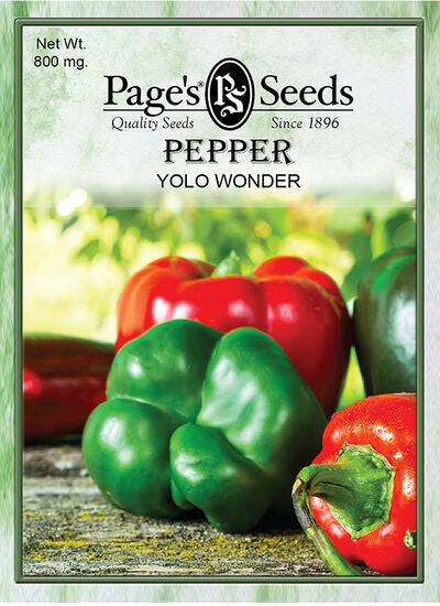 Pepper Yolo Wonder