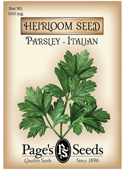 Parsley - Italian Flat Leaf Parsley