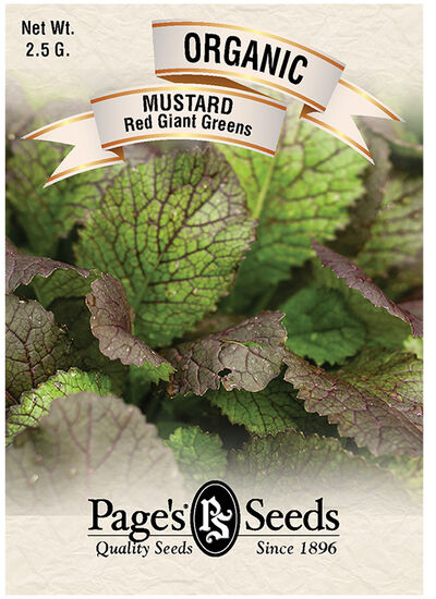 Mustard Red Giant Mustard Greens