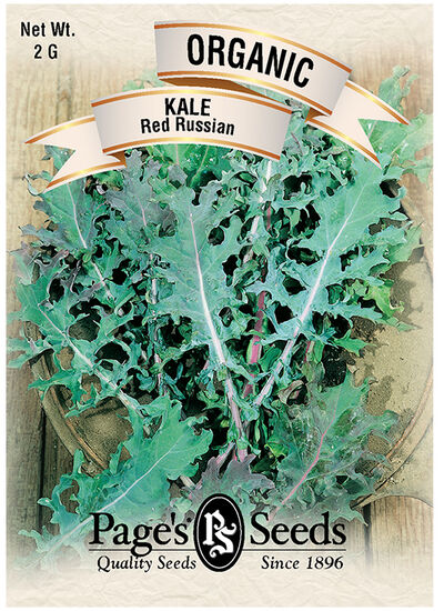 Kale Red Russian