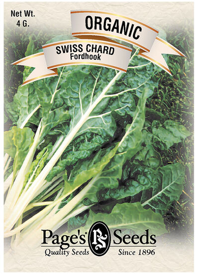 Swiss Chard Fordhook