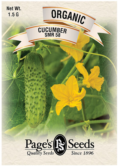 Cucumber Wisconsin SMR