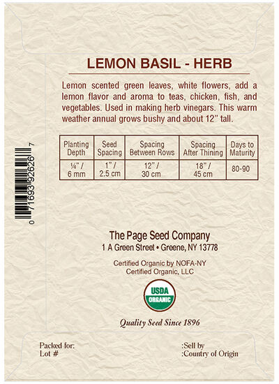 Lemon Basil Herb