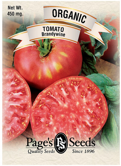 Tomato Brandywine