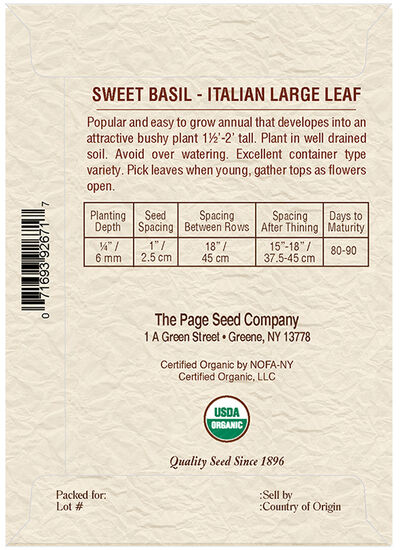 Sweet Basil Italian Large Leaf Herb