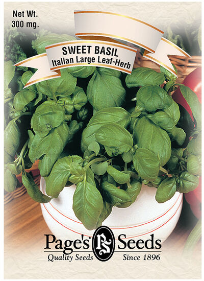 Sweet Basil Italian Large Leaf Herb
