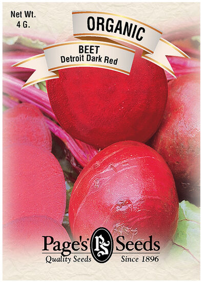 Beet Detroit Dark Red