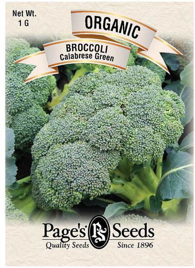 Broccoli Early green