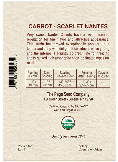 Carrot Scarlet Nantes