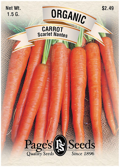 Carrot Scarlet Nantes