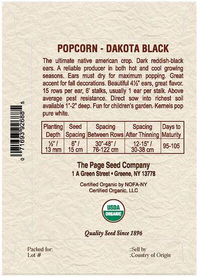 Popcorn Dakota Black