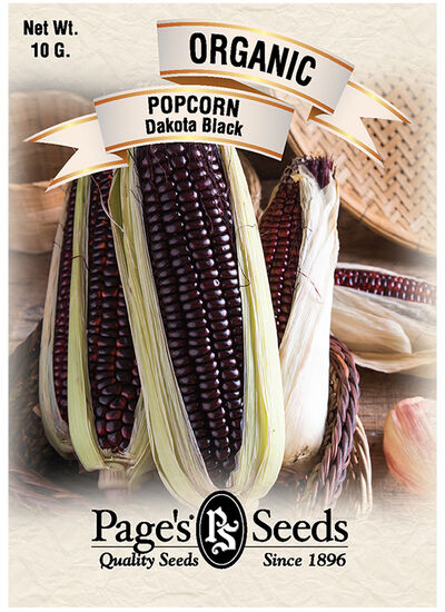 Popcorn Dakota Black