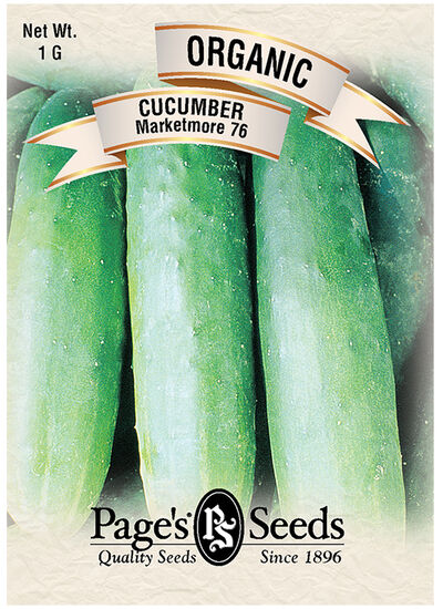 Cucumber Marketmore 76