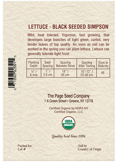 Lettuce Black Seeded Simpson
