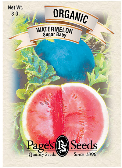 Watermelon Sugar Baby