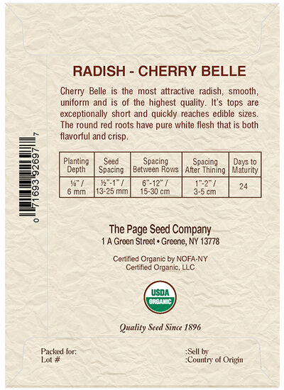 Radish Cherry Belle