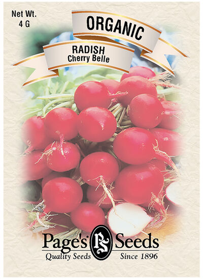 Radish Cherry Belle